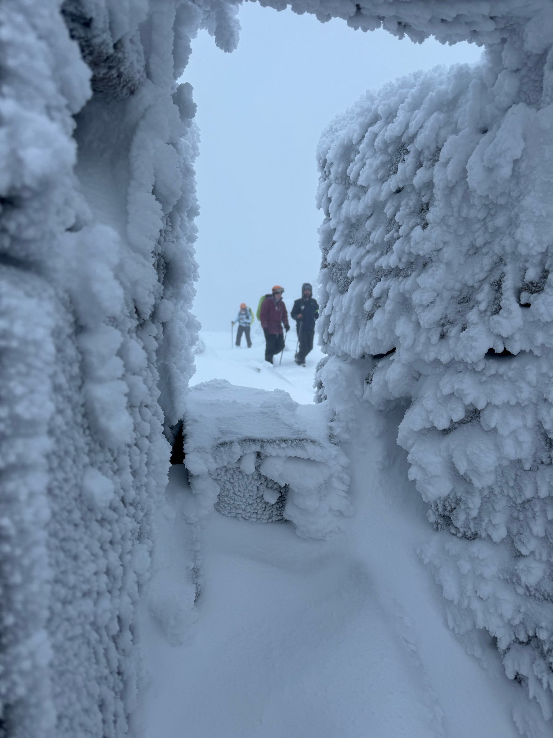 Walkers on the top of Ben Nevis