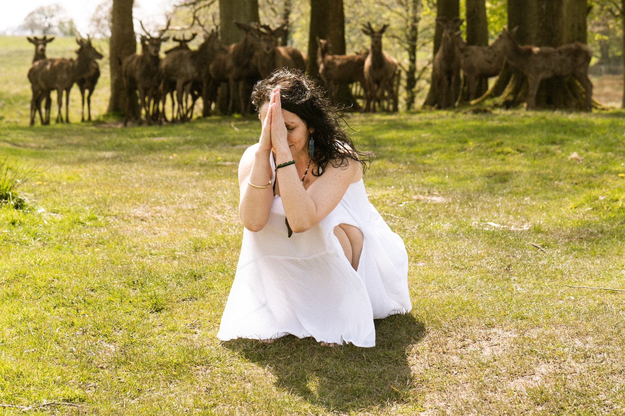 Zena Wellbeing Deer Herd.jpg