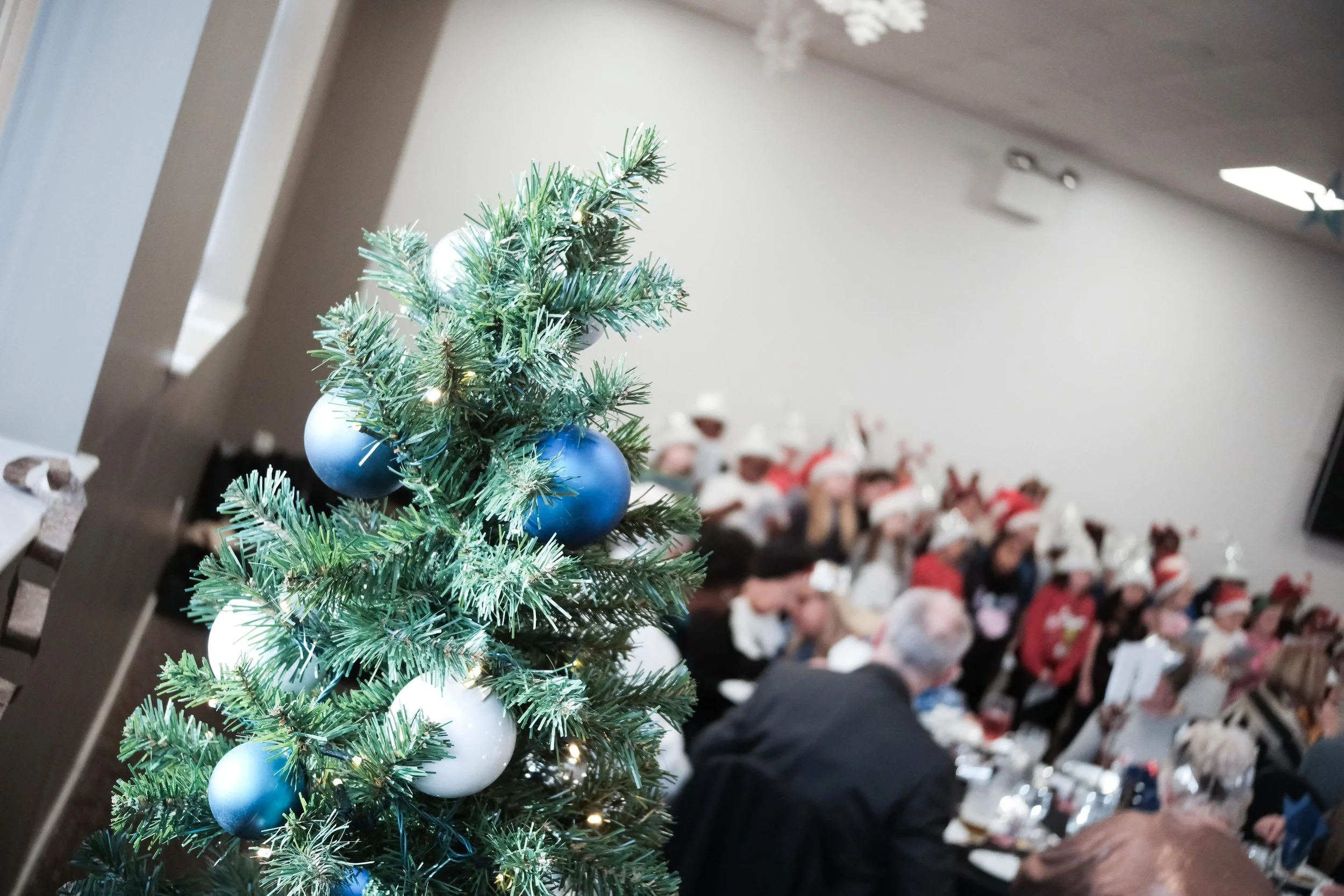 Owls Give Back This Christmas!