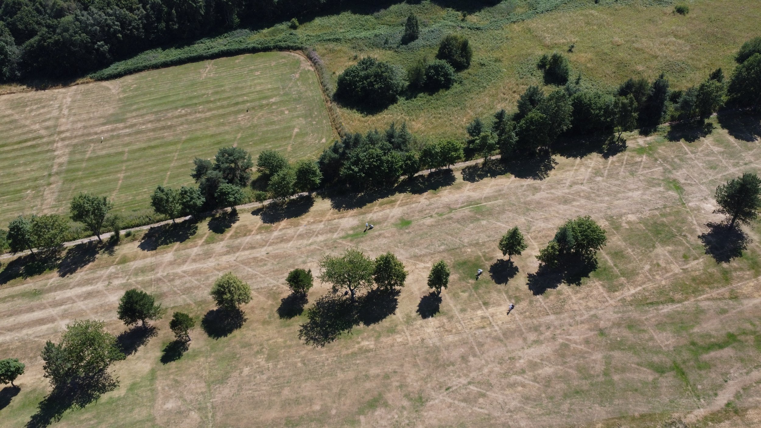 DJI_0412.jpg