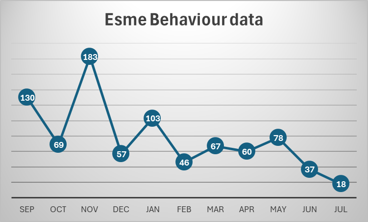 SWFC Interventions Help Esme Thrive at School