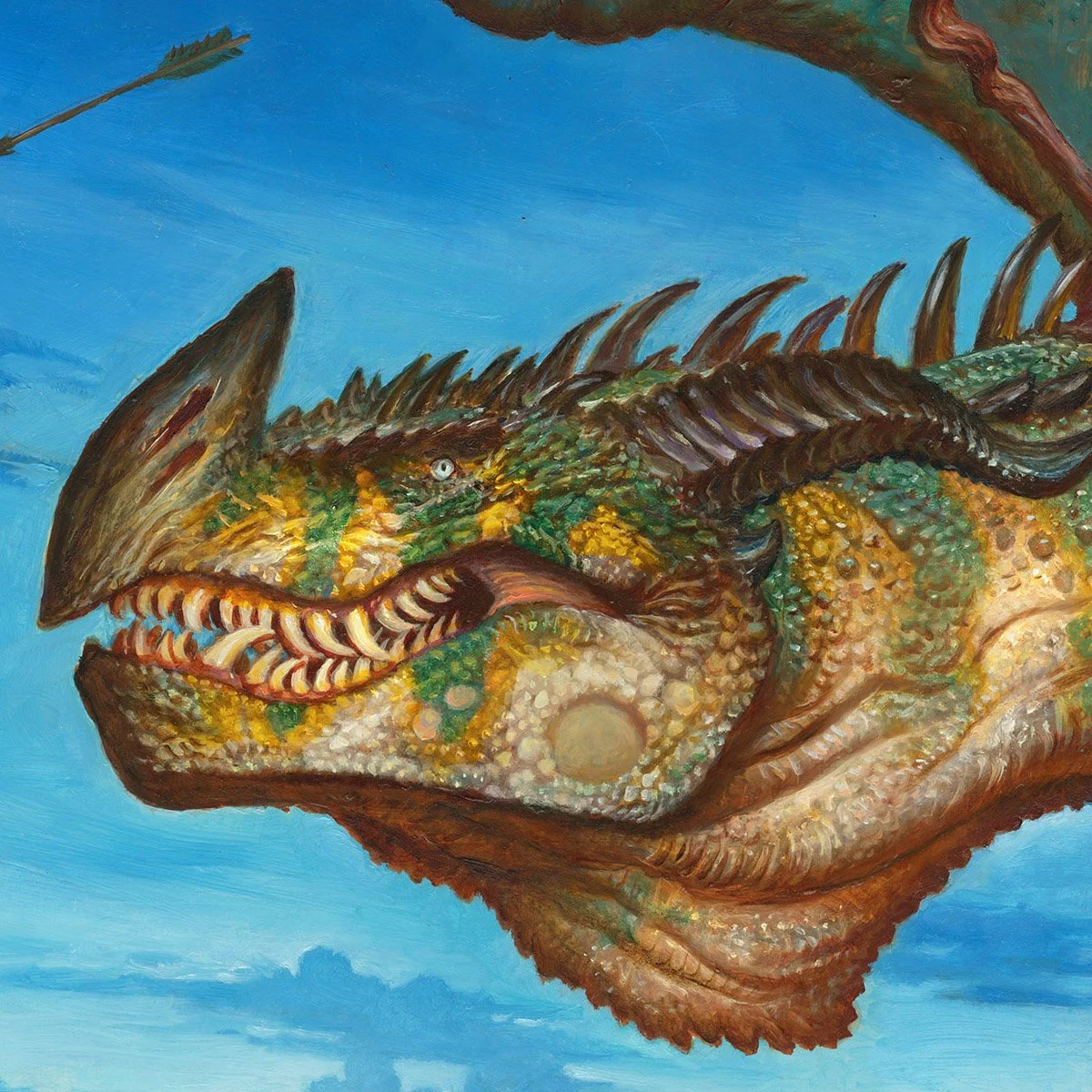 DMSn202 final 2510a C 72w.jpg