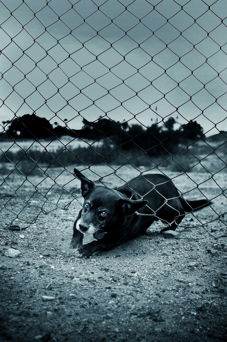 Escape