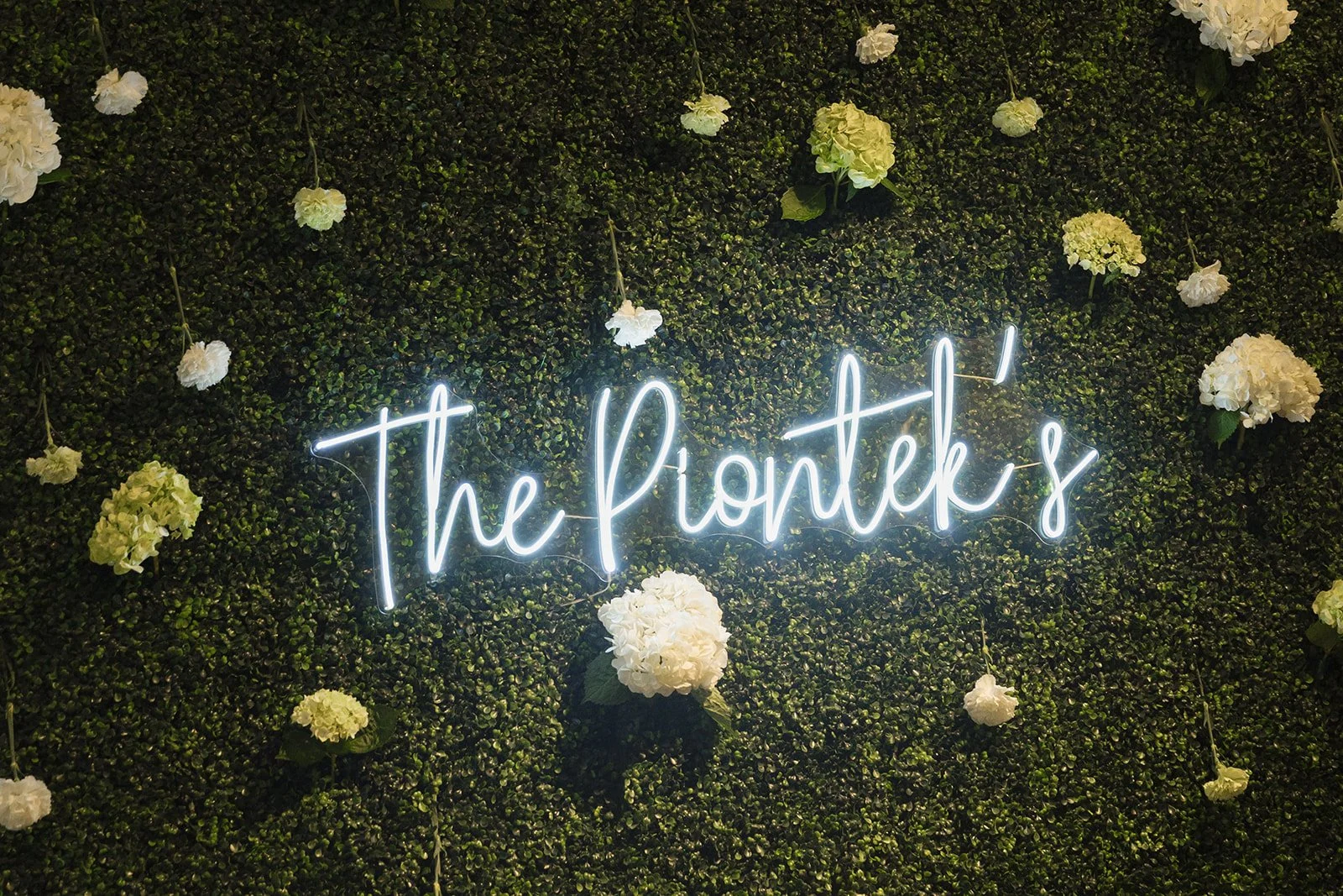 The Pionteks - Details-102_websize.jpg