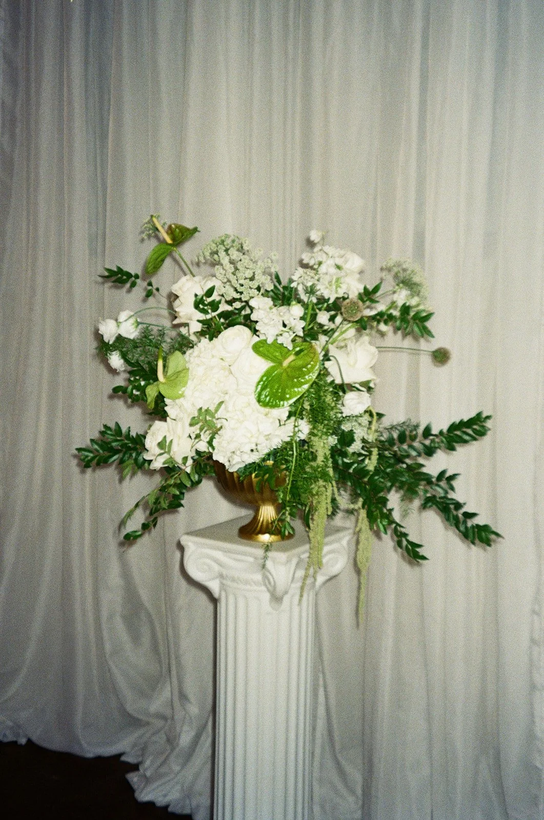The Pionteks - Details-109_websize.jpg