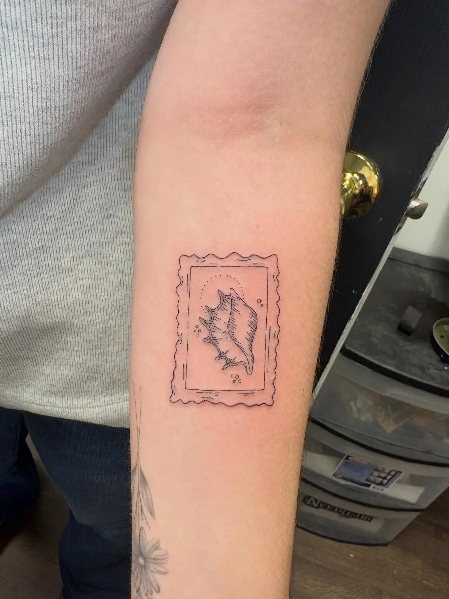 Cute little matching seashell stamps 🐚 🌊 #matchingtattoos #seashelltattoo #stamptattoo #daintytattoo #finelinetattoo #finelinetattooartist #linework #tinytattoo #girlytattoo #aesthetictattoos #femaletattooer