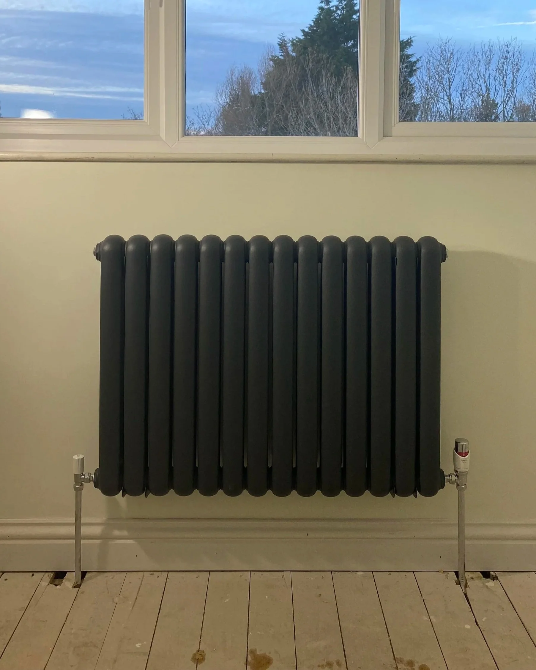 Black cast iron radiator mounted on a wall below a window showing trees outside.
