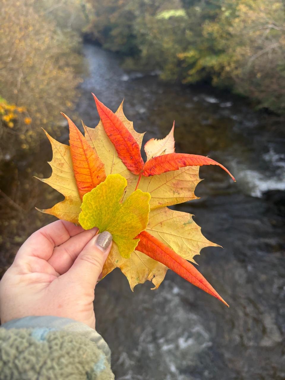 Finding Balance in Nature
