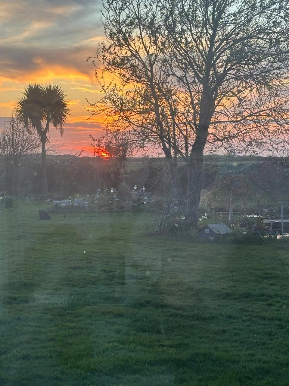 Glimmers of Gratitude: Finding Light Through Healing, Reiki &amp; Everyday Moments