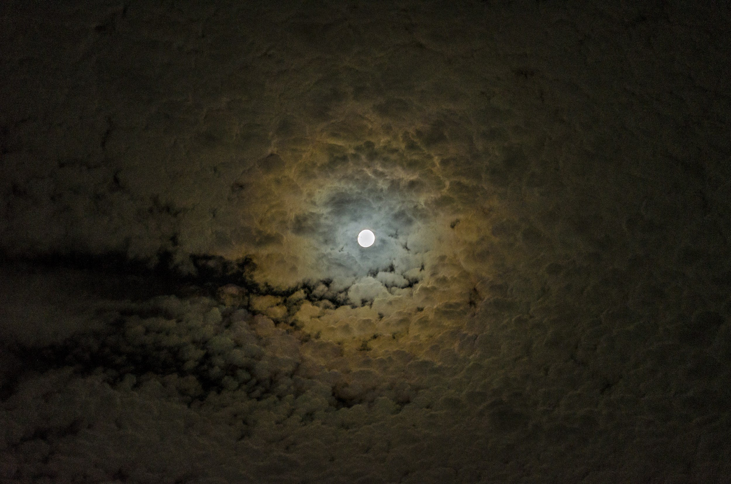 Grounding into the Final Supermoon of 2025: Letting Go, Releasing &amp; Getting Ready for 2026