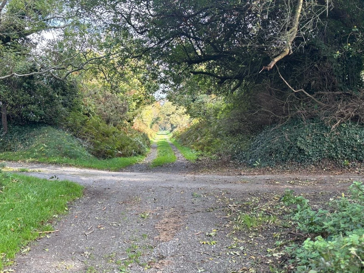 Be the Light: Choosing alignment when life feels uncertain