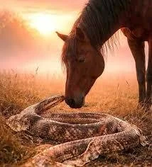 Boundaries, Breakdowns &amp; Self-Worth: A Necessary Reset