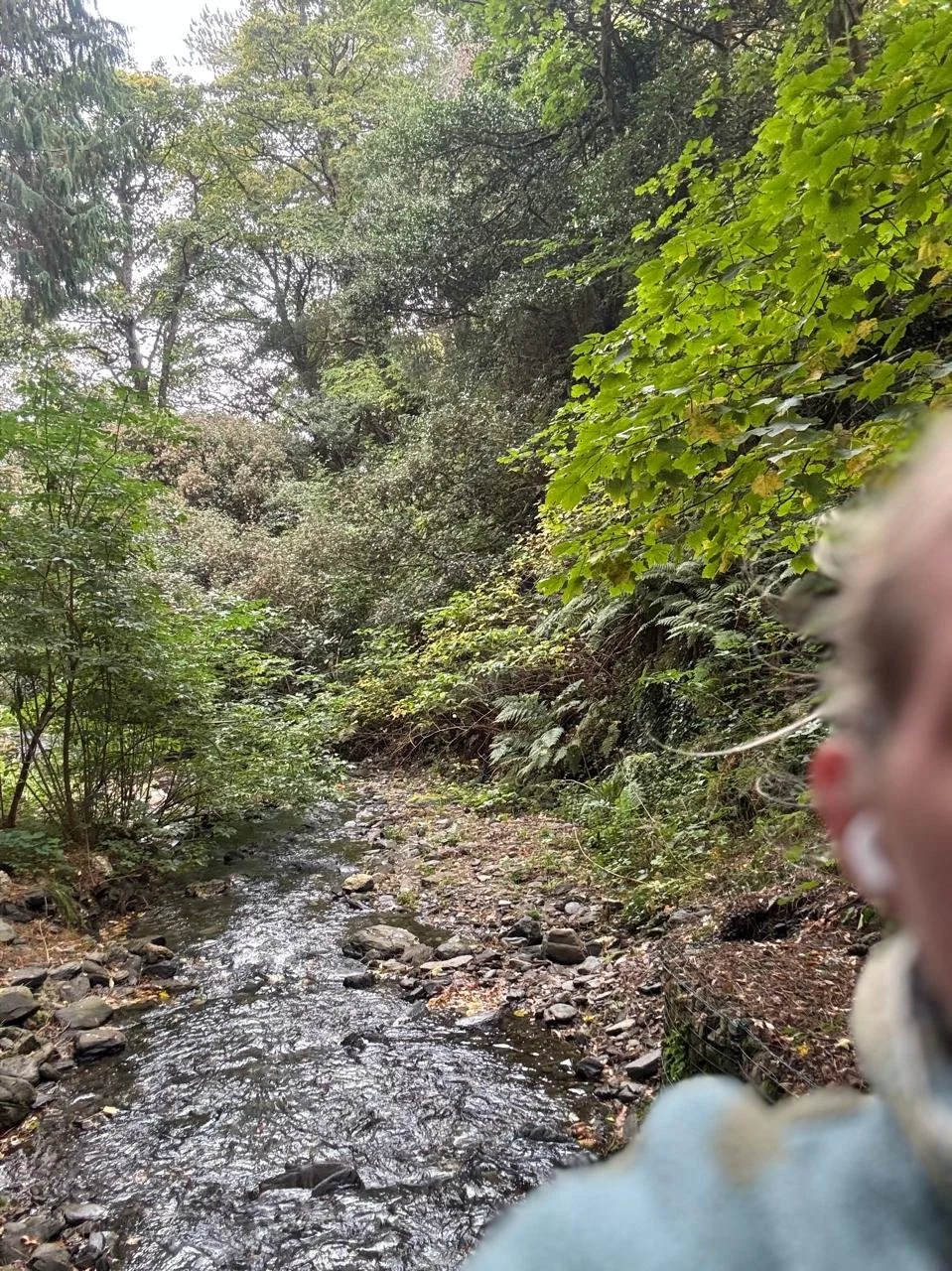 Gratitude in the Moments That Feel Hard