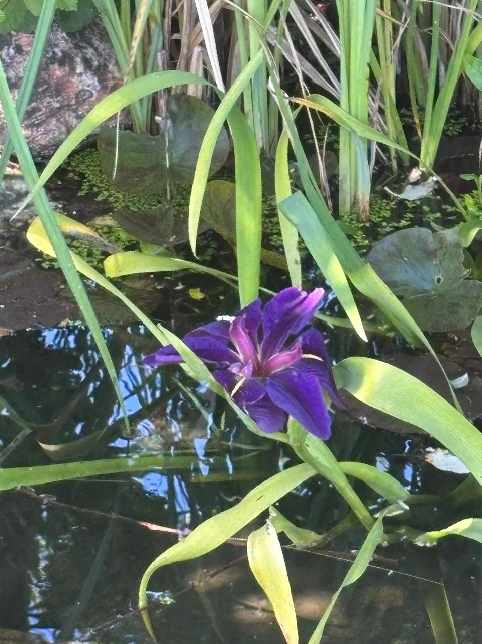 The small miracles we forget to notice…