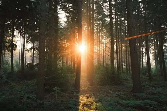 Omimon yksilöterapiassa keskitytään sinun tarpeisiisi