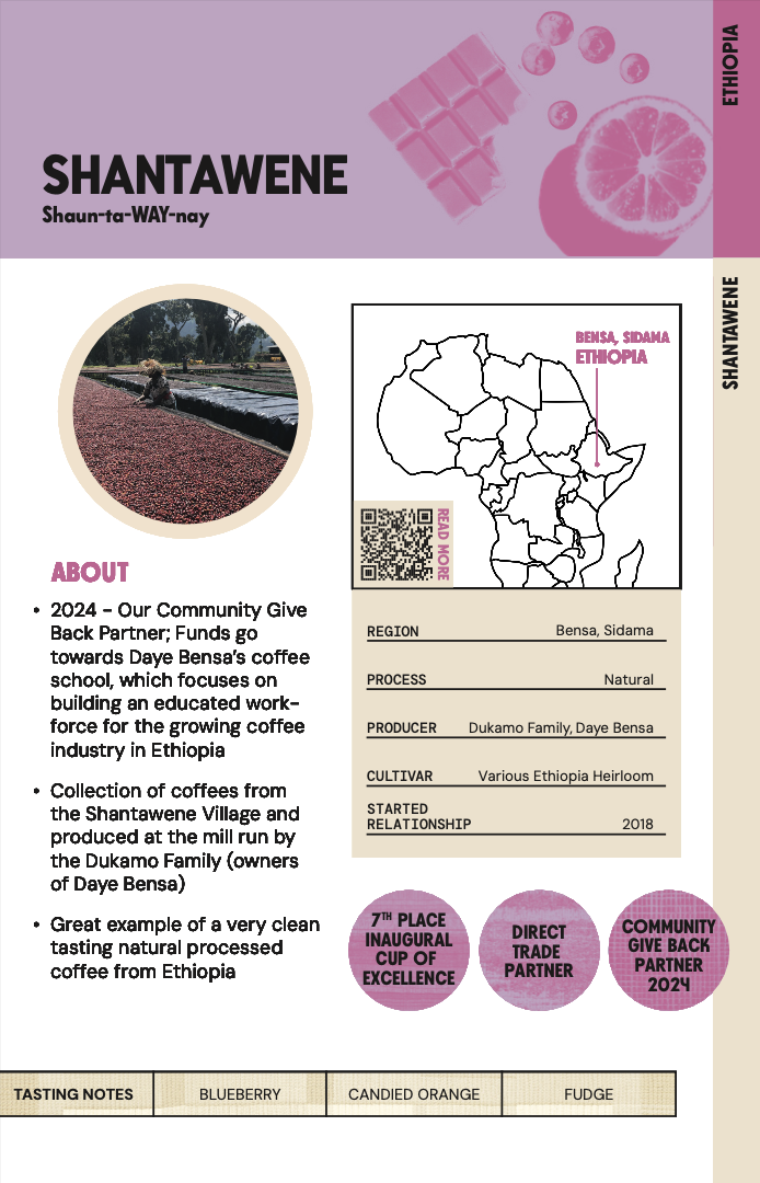 Screenshot 2025-07-25 at 3.05.53 PM.png