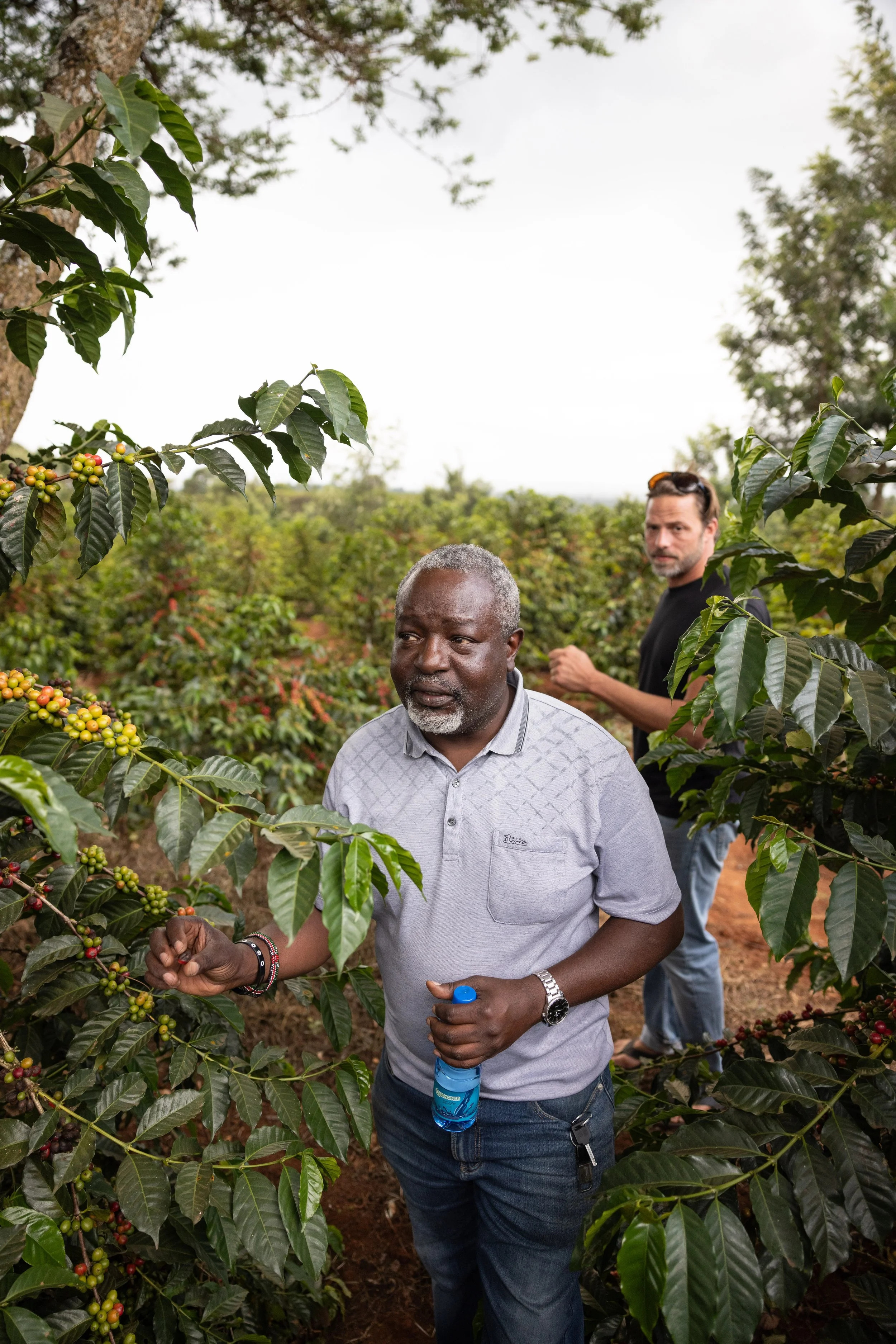 The Secret Behind Your Coffee’s Flavor: Terroir Explained