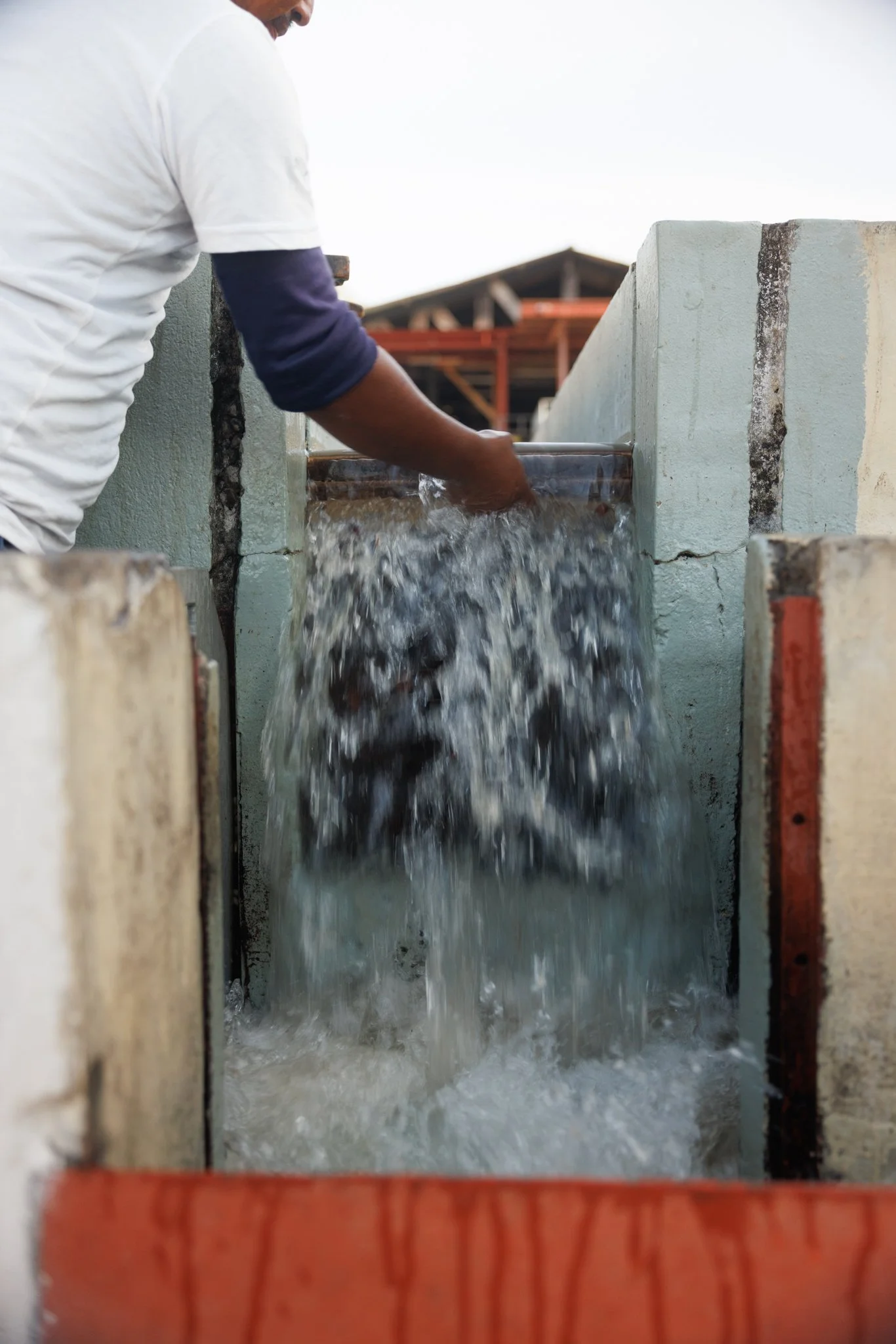 What Is Decaf? The Science Behind a Caffeine-Free Cup