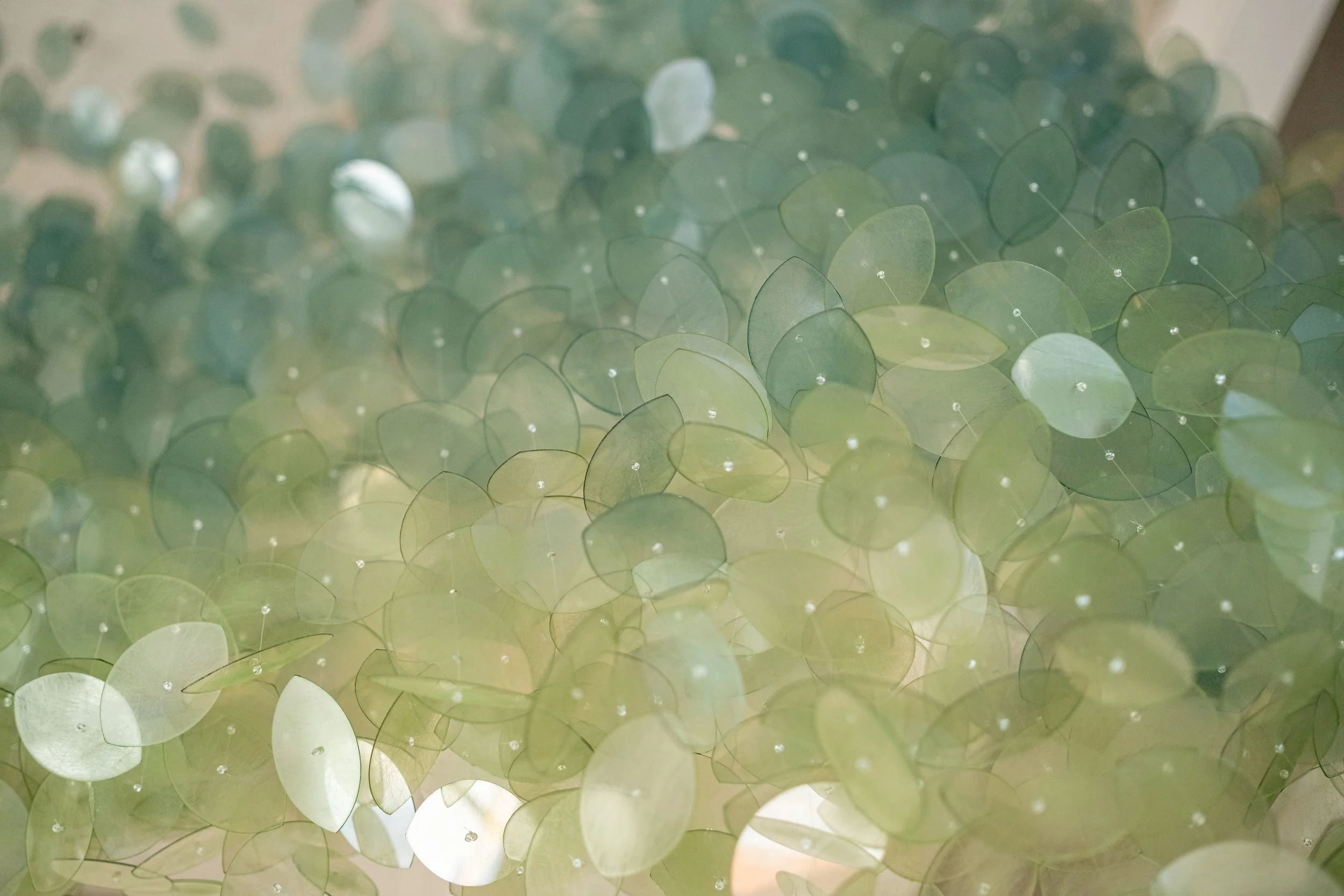 Coming Soon: Deeper Roots Coffee Montgomery