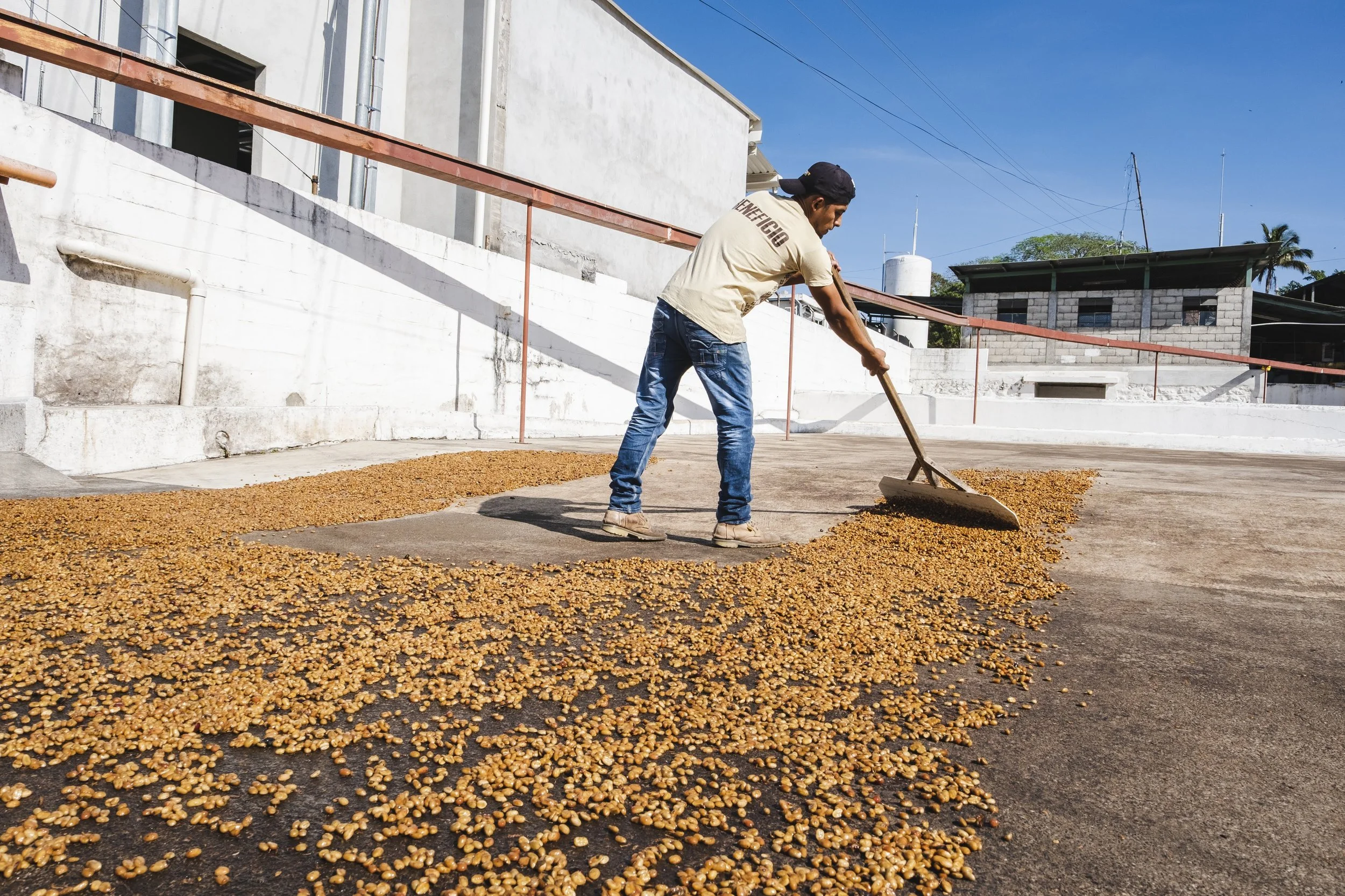 PEP Talk: Coffee Processing