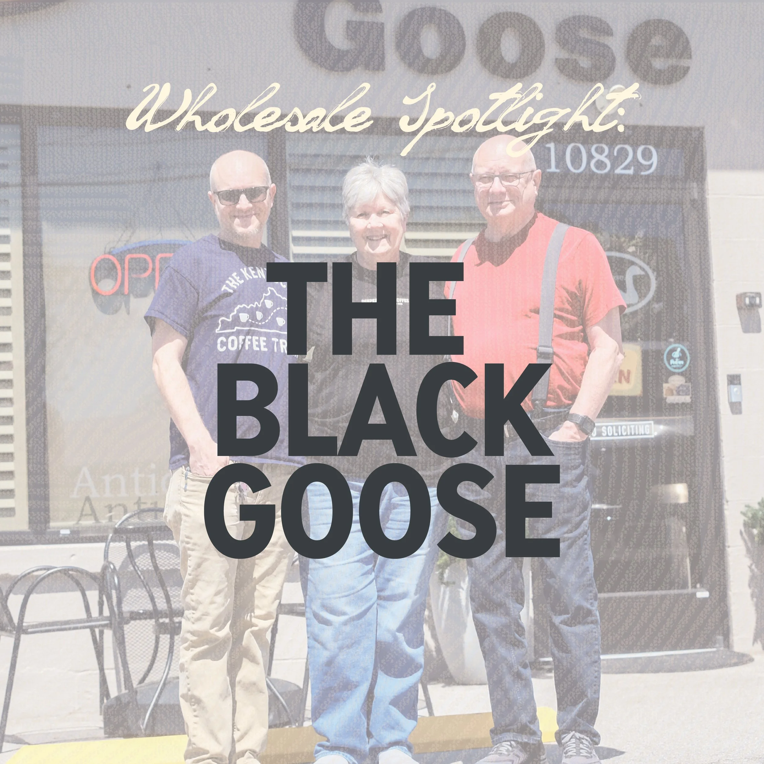PARTNER SPOTLIGHT: THE BLACK GOOSE
