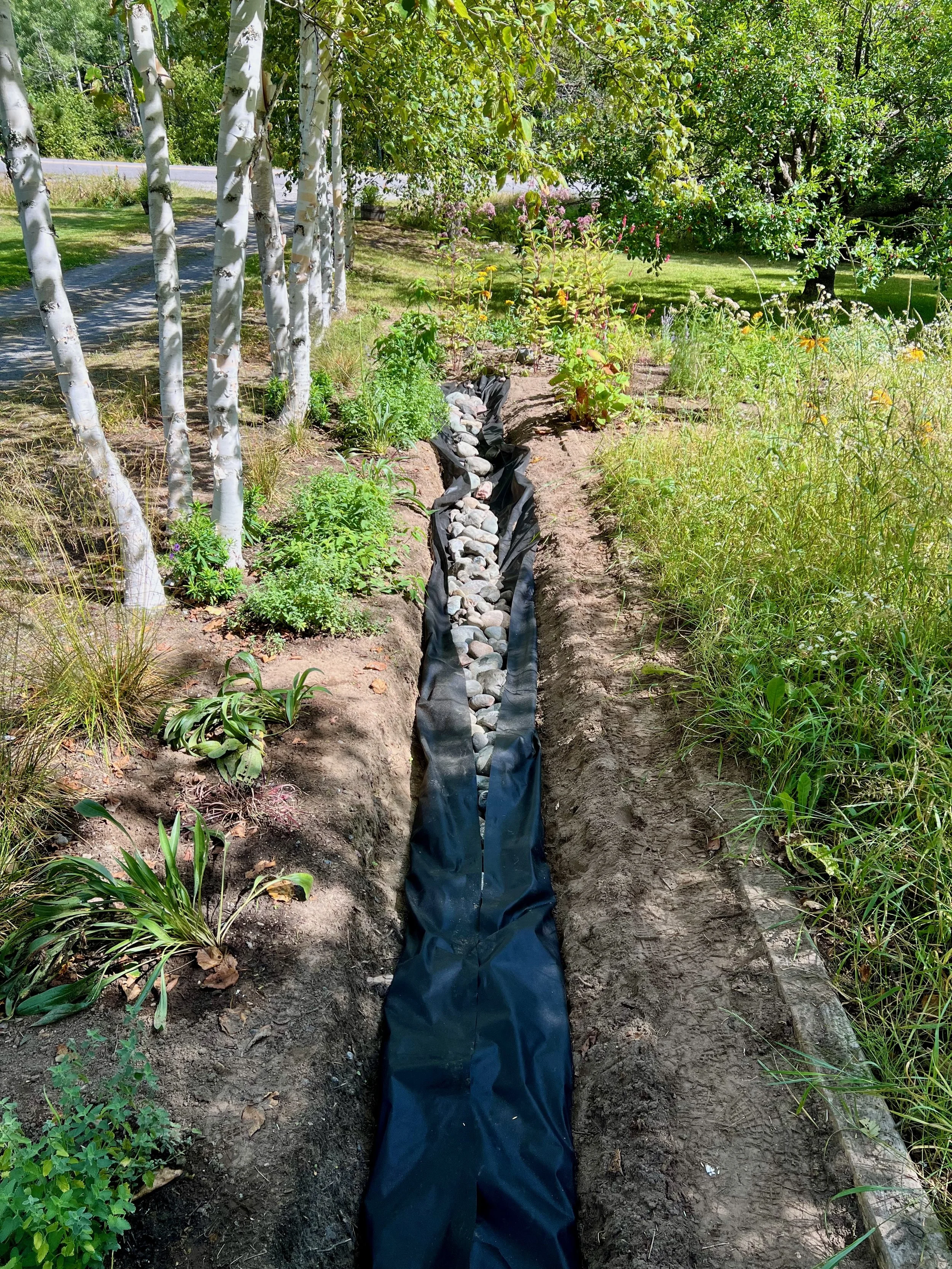 French drain progress