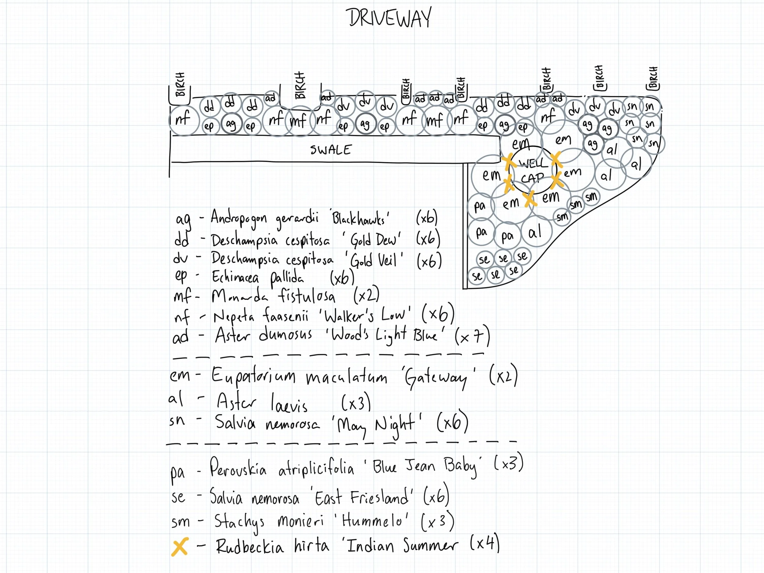 Completed rough planting plan with revisions