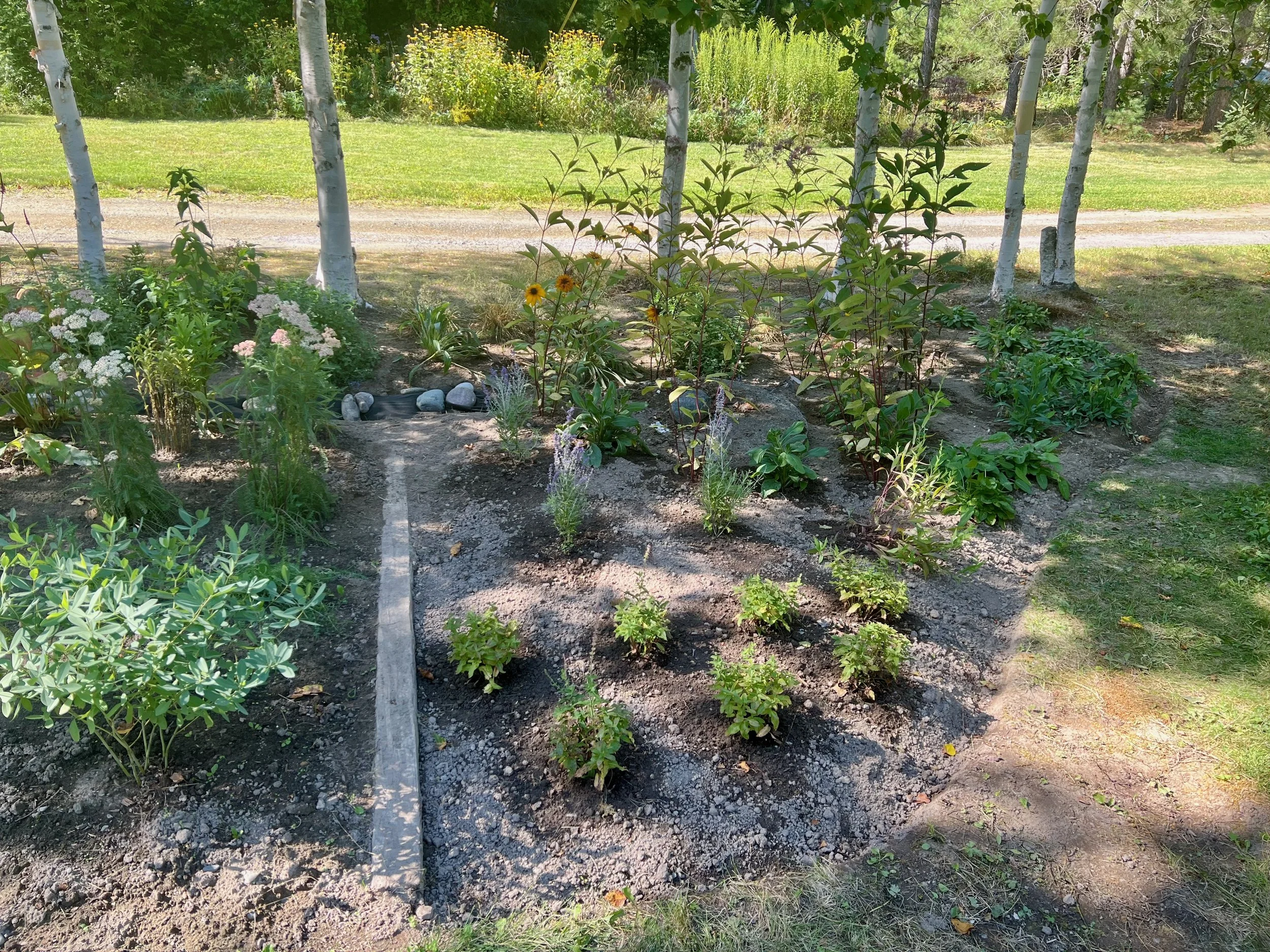 Newly planted bed extension