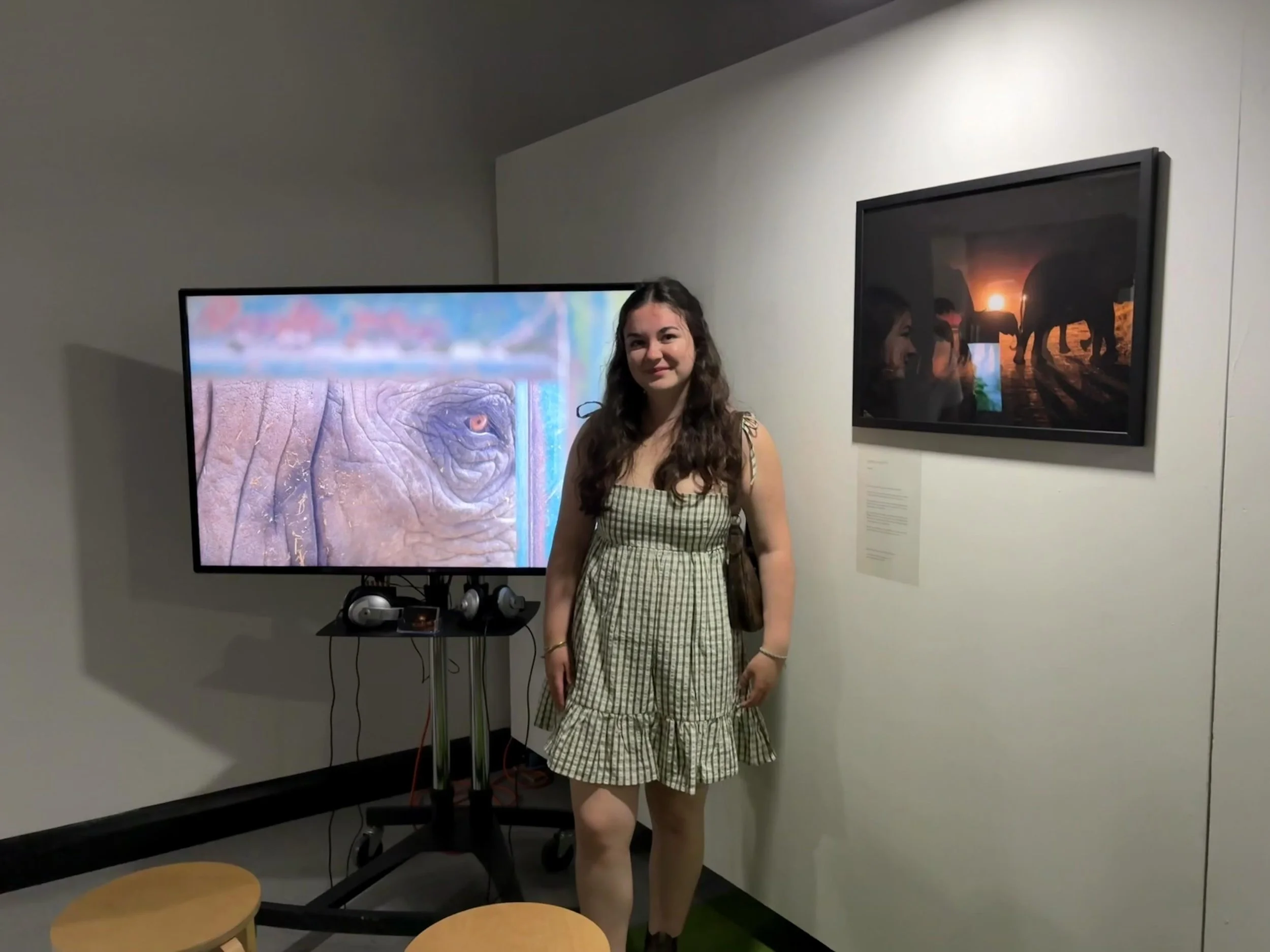 Summer Show 2026 is now open! 

OLIFANTS can now be seen at the @iop_falmouth summer show from now until the 2nd June! 

Creating this film has been an incredible journey speaking to so many inspiring people along the way that has shaped the filmmake