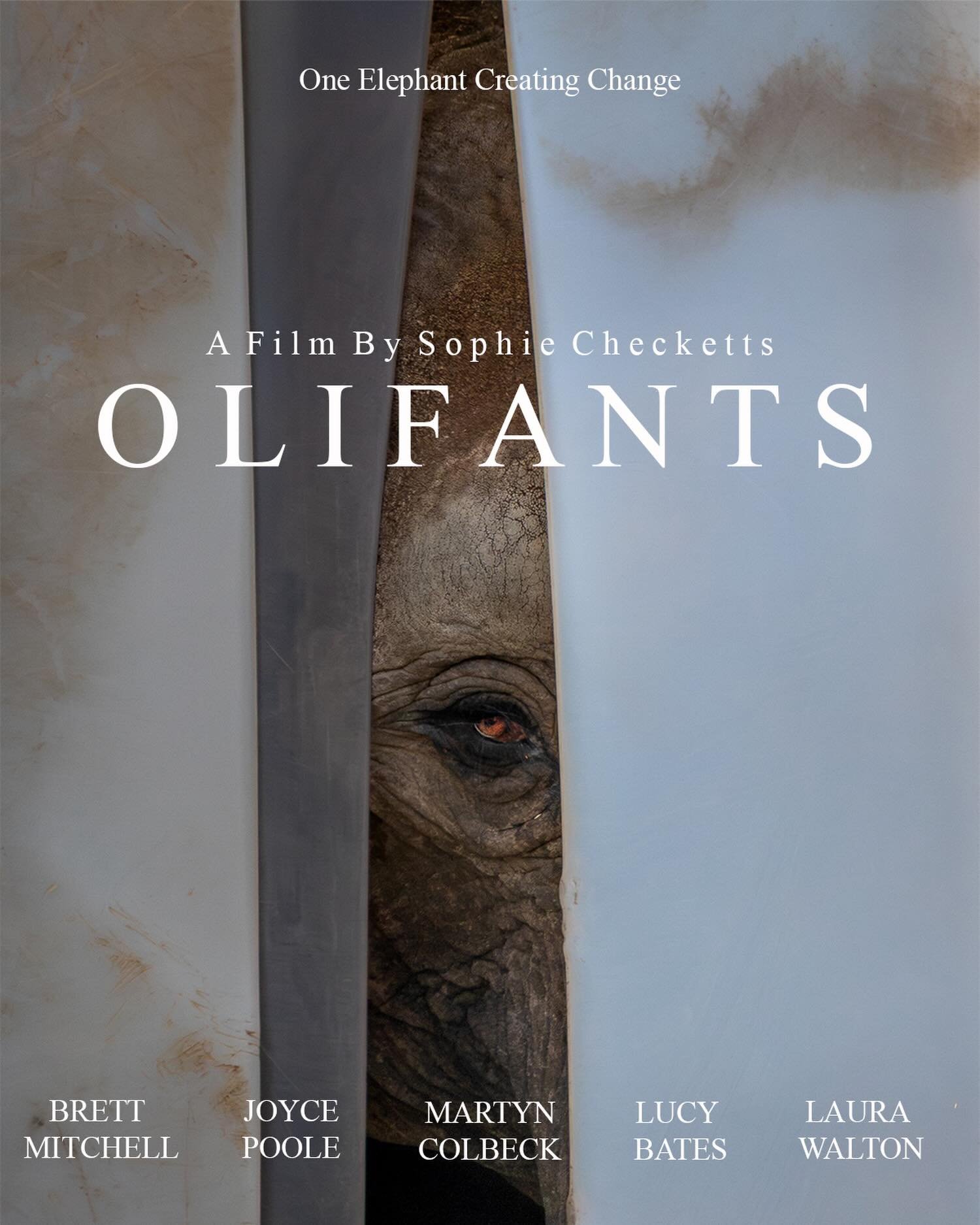 OLIFANTS is screening next week at @theislandbristol in the @hereandnow.exhibition exhibition! 

Come check it out between the 16th - 21st June 2026! 

Nelson Street, Bristol, BS1 2BE

#elephant #exhibition #filmscreening #conservation