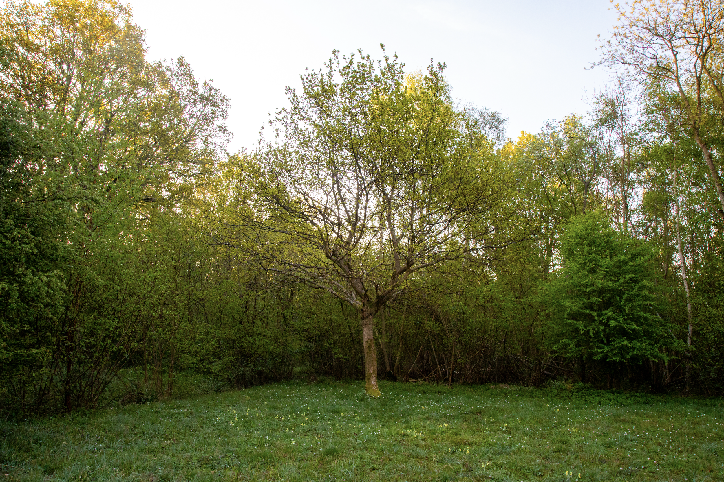 Screenshot 2026-02-25 at 14.26.17.png