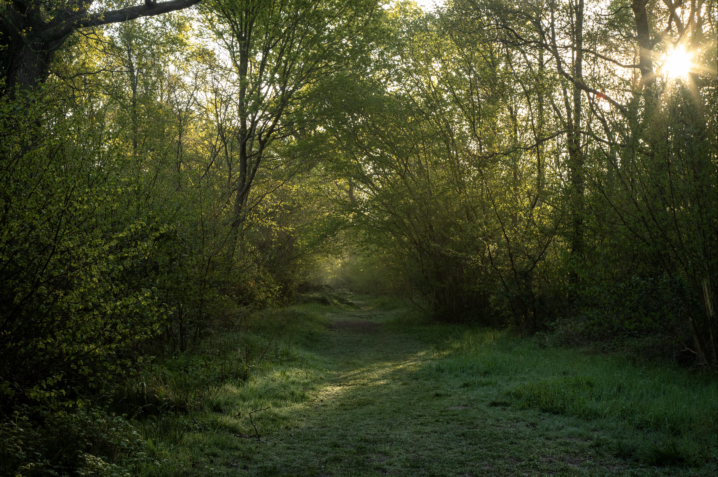 Screenshot 2026-02-25 at 14.26.35.png