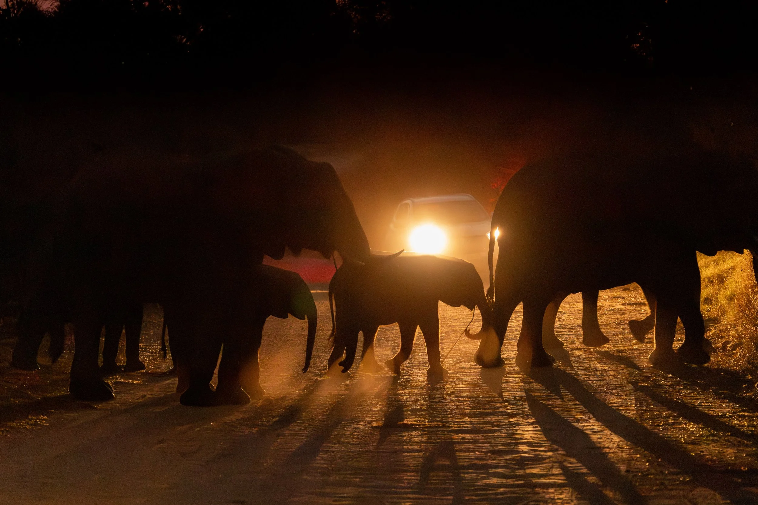 Sophie Checketts.jpeg