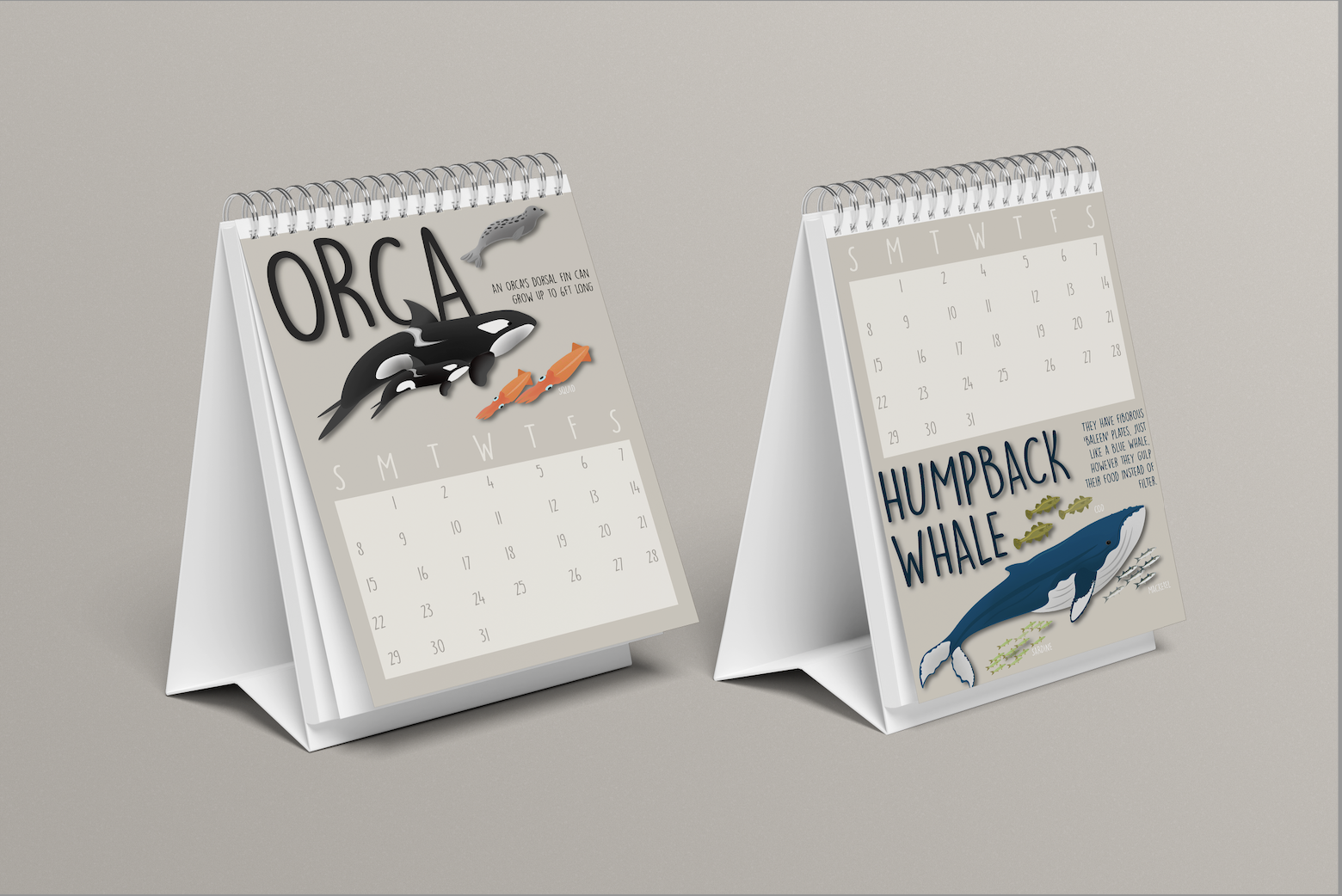 Screen Shot 2024-12-03 at 11.23.24 AM.png