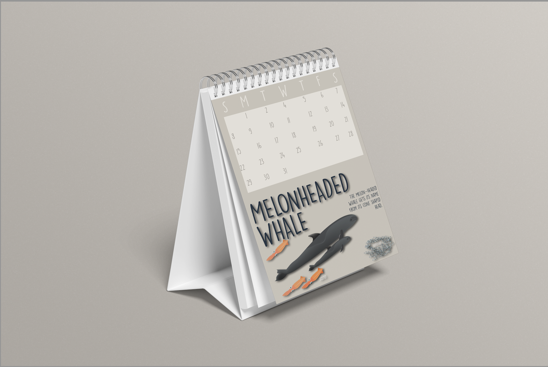 Screen Shot 2024-12-03 at 11.23.39 AM.png