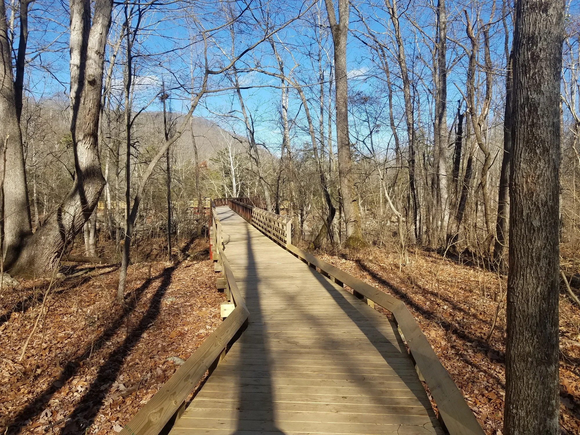 A wooden boardwalk with railings curves through leafless trees beneath a blue sky at Sandstone Falls in New River Gorge. Archival photograph, December 2019.