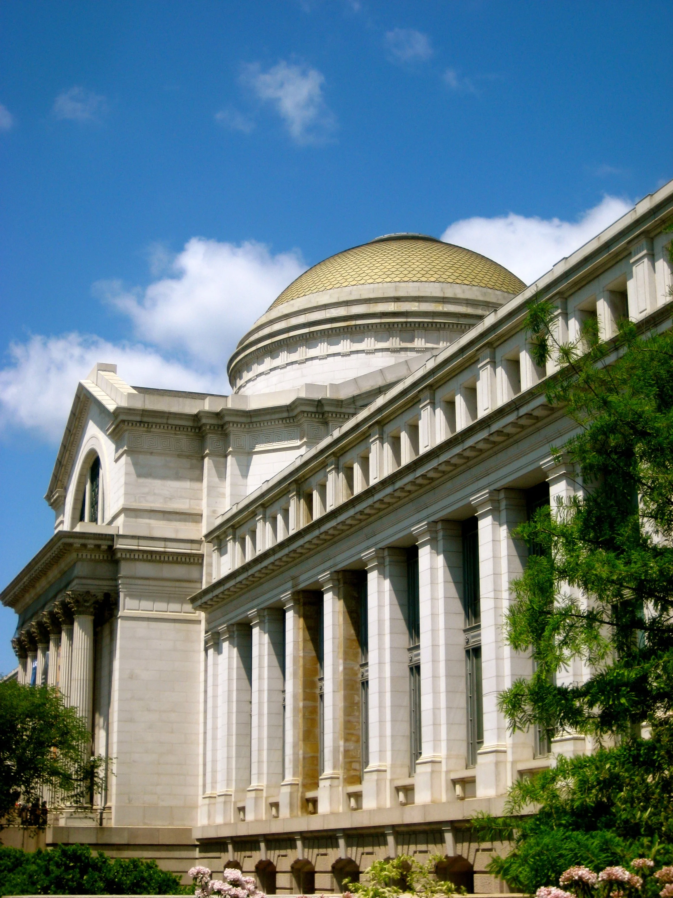 Archival view of the pale stone facade and domed roof of the Smithsonian National Museum of Natural History beneath a blue sky, with trees in the foreground. Photograph by Melizabethi123, April 2009.