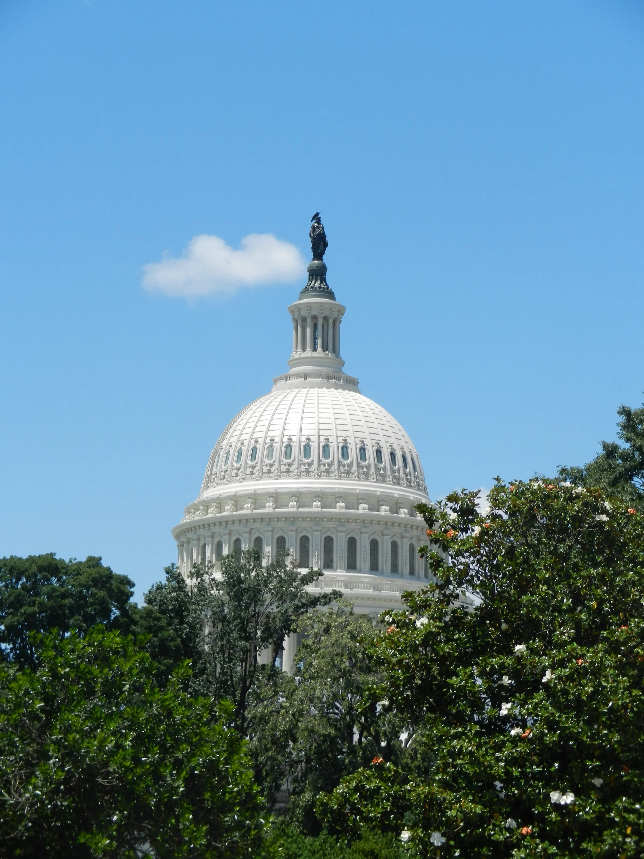 The white dome of the United States Capitol rises above green trees beneath a blue sky.