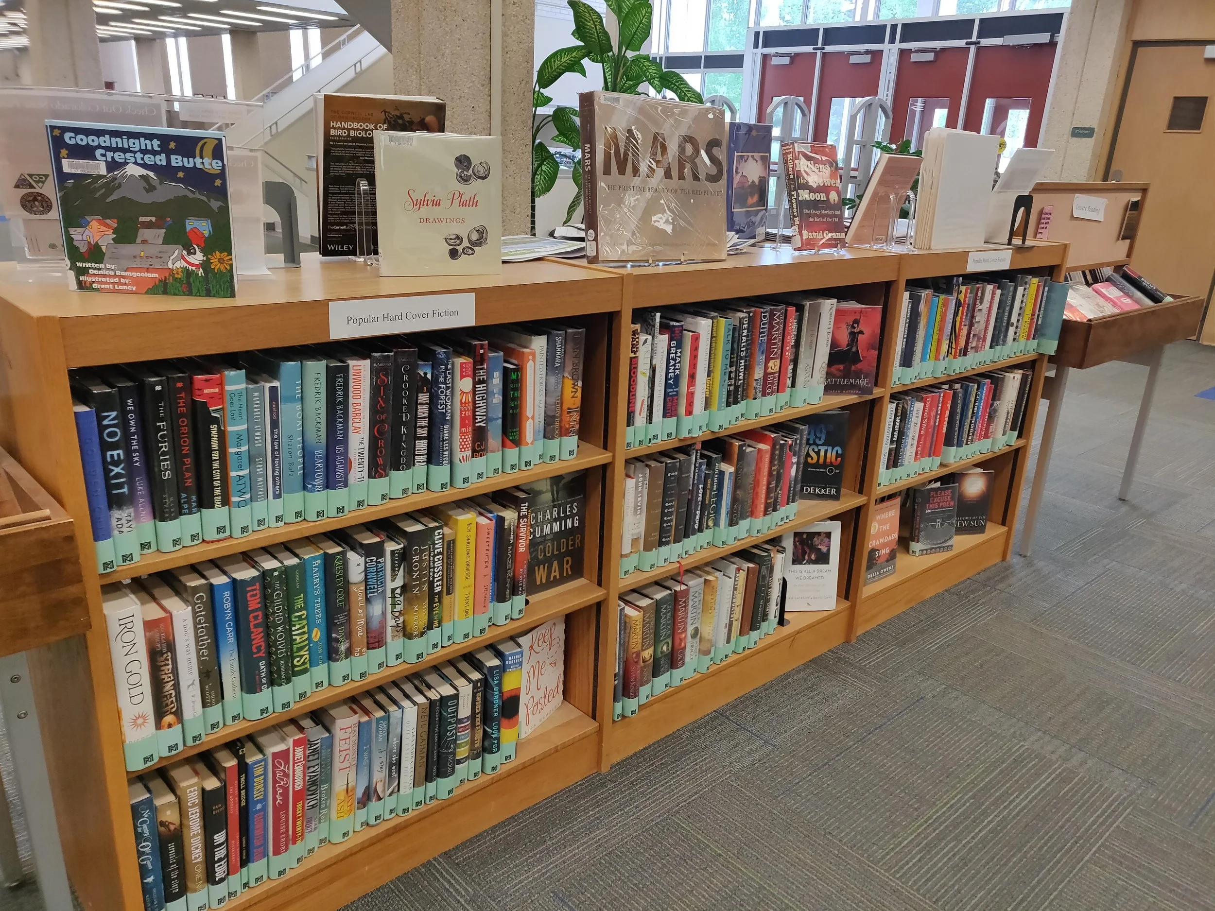 Illustrative June 2019 photo of wooden library shelves filled with books, with more books displayed on top. Photo by Mshuang2, CC0.