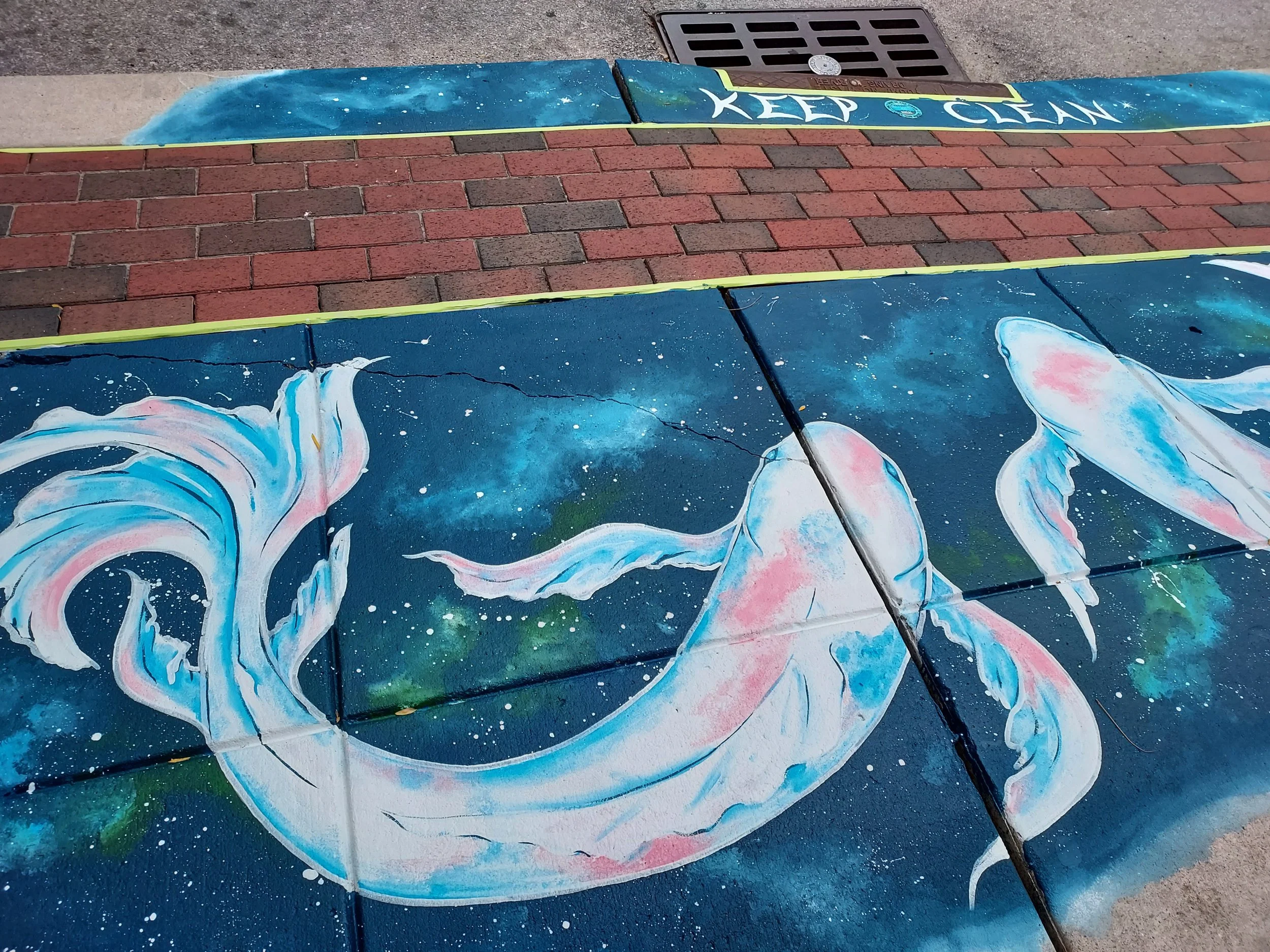 Storm drain art work with two koi style fish and the words "Keep Clen" by the drain.
