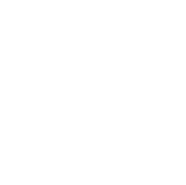 developer tag image in a circle