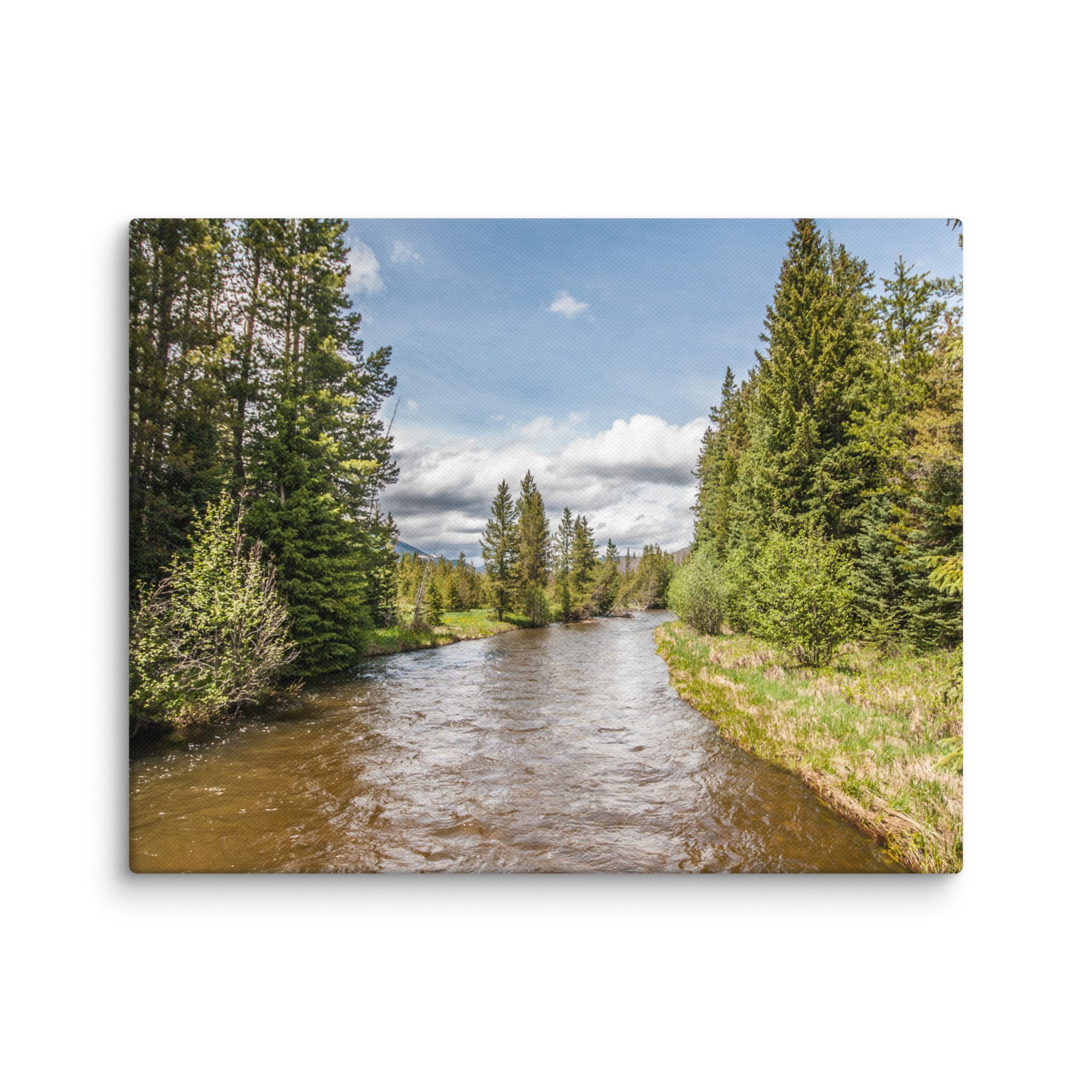 canvas-(in)-11x14-wall-673ceb39b756f.jpg