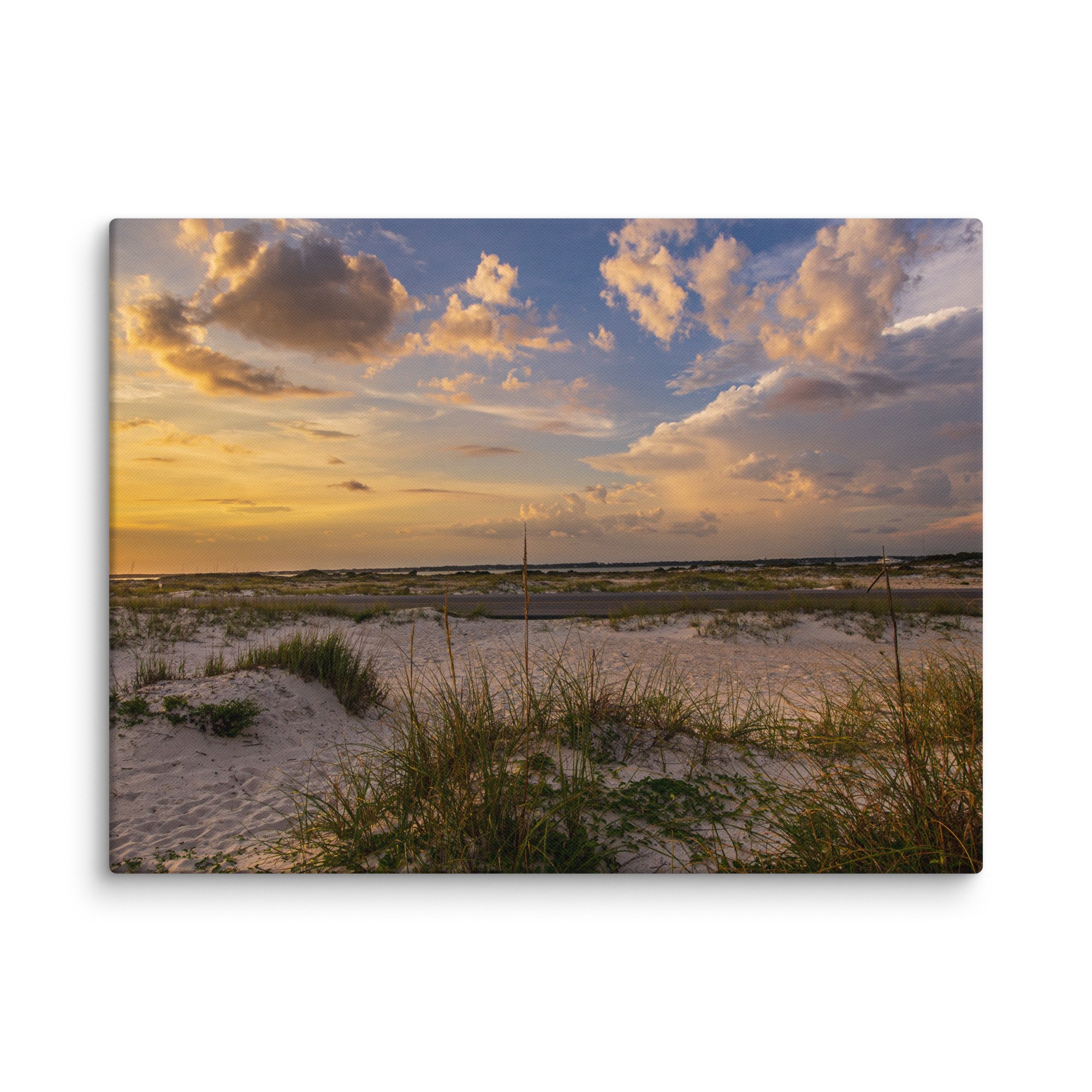 canvas-(in)-18x24-wall-673cefc95fae9.jpg