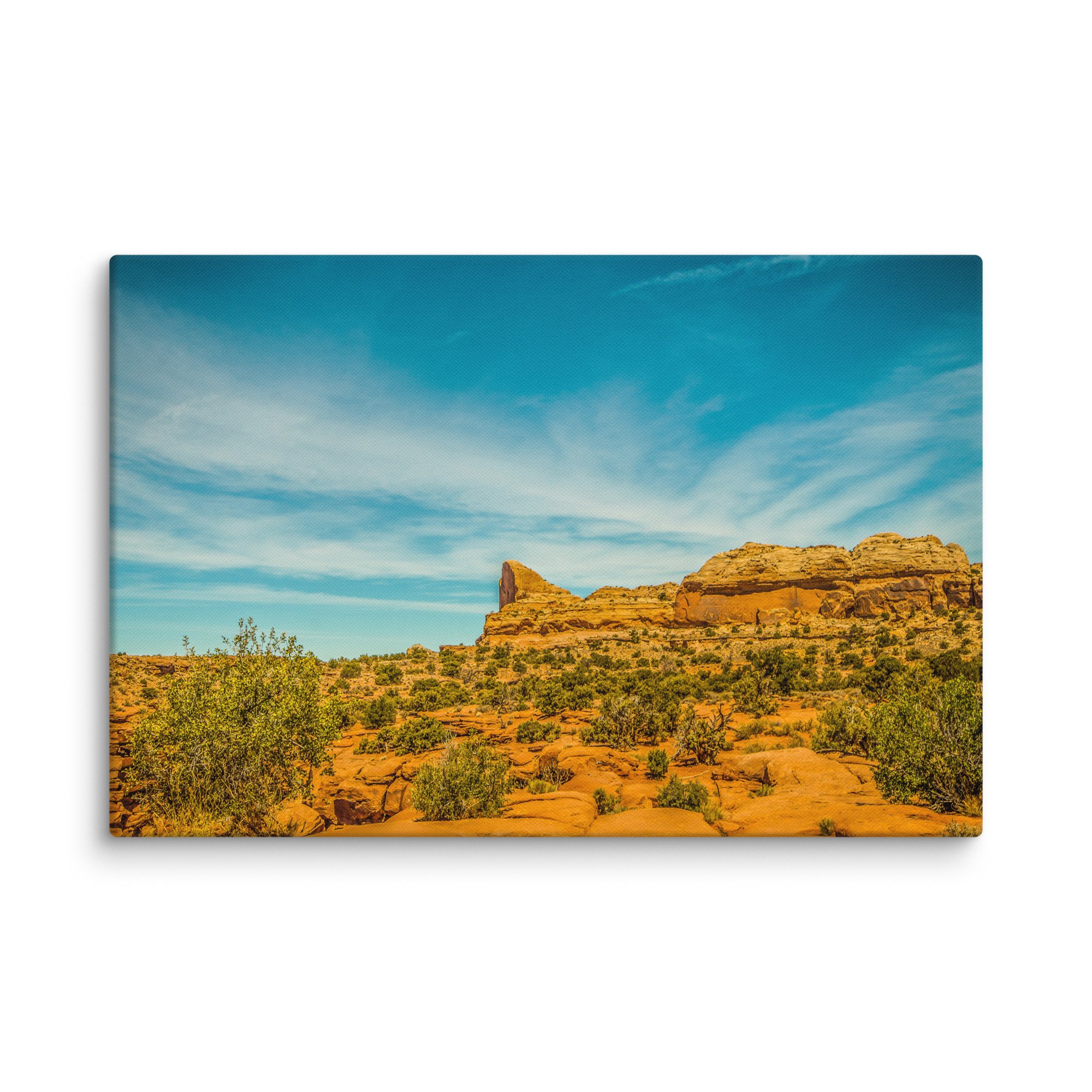 canvas-(in)-20x30-wall-6744dba2d25ba.jpg