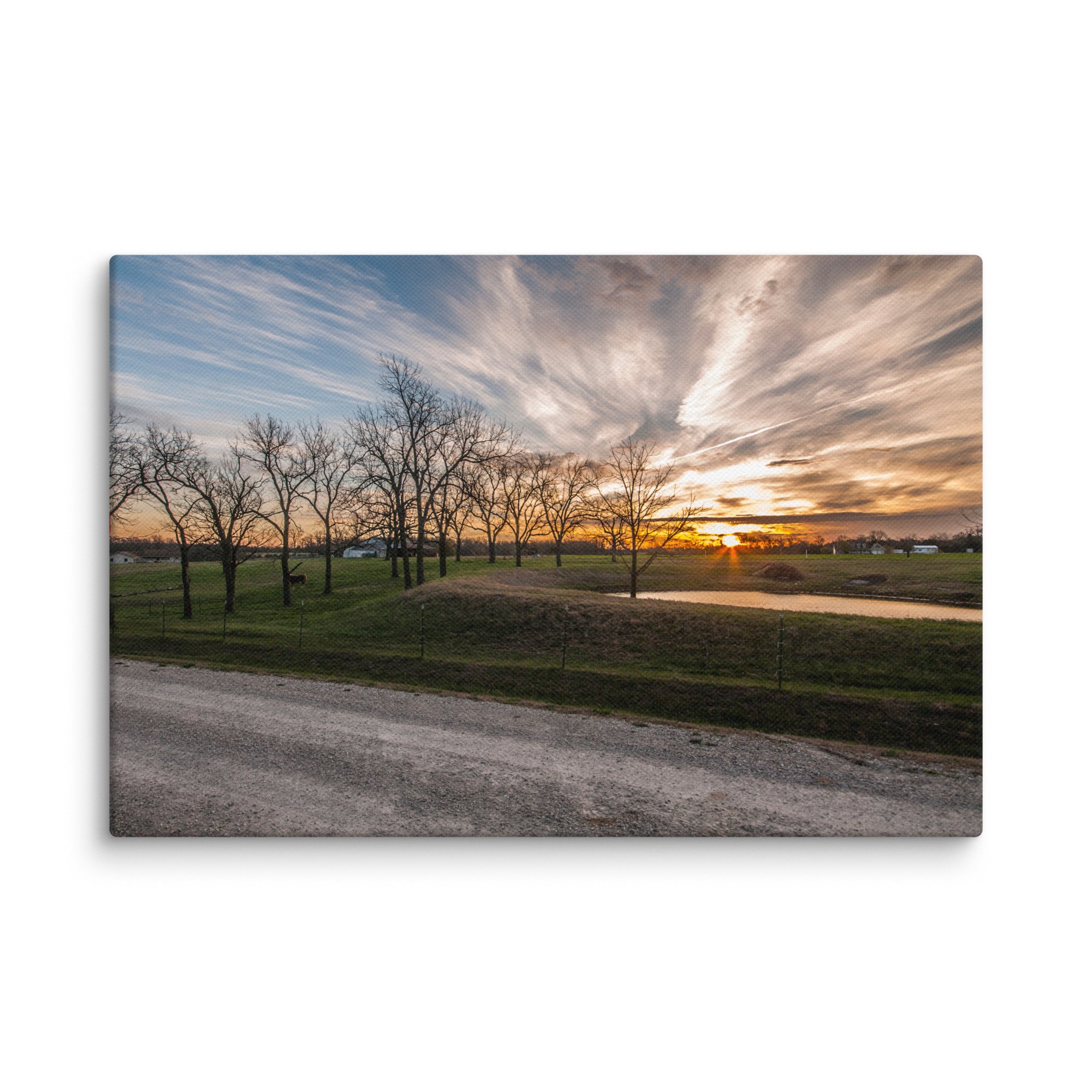 canvas-(in)-12x18-wall-6744dc46ed04c.jpg