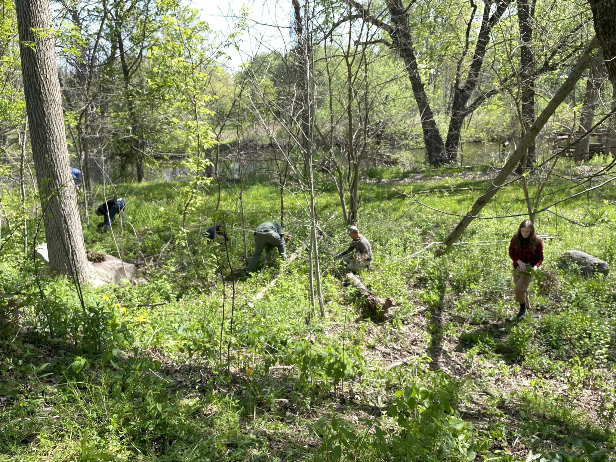 Ecosteward Day at Rockford Dog Park
