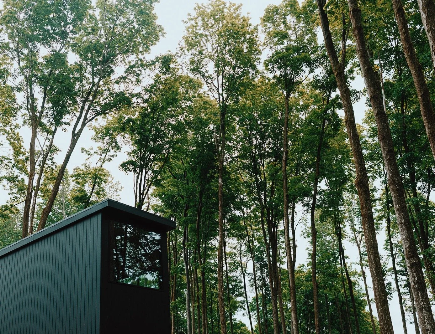 Retreatnorth-94_VSCO.jpg