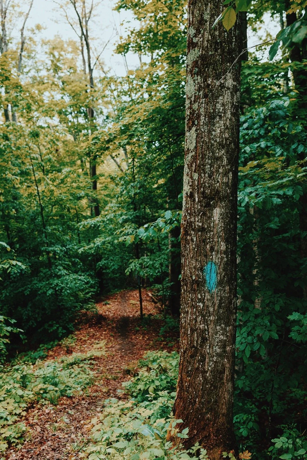 Retreatnorth-89_VSCO.jpg