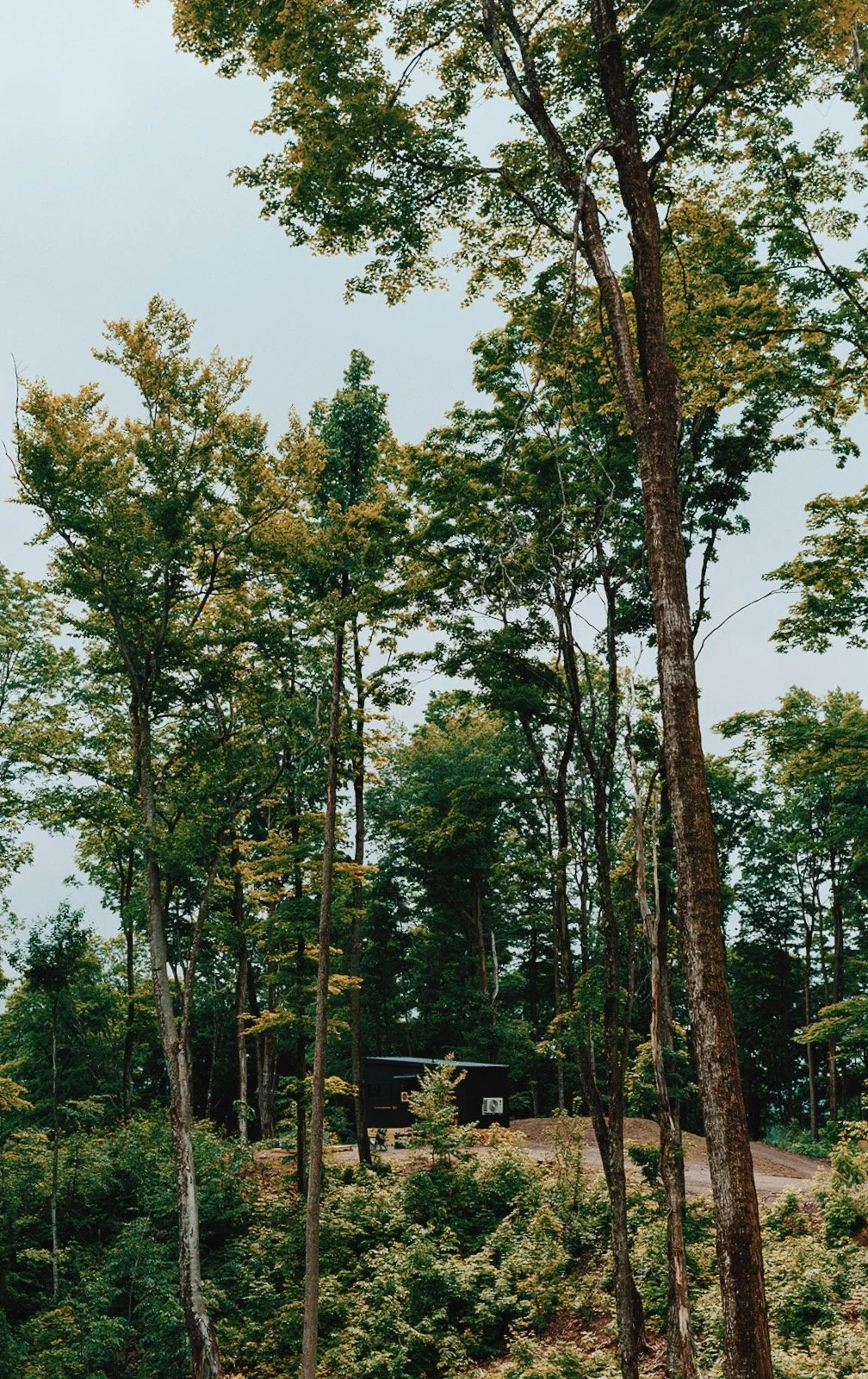 Retreatnorth-57_VSCO.jpg