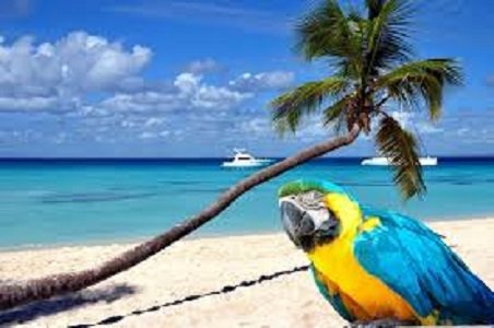 A FLORIDA PAYROLL